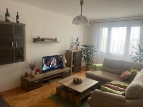 Rekreační byt 3+1, Zelezná Ruda